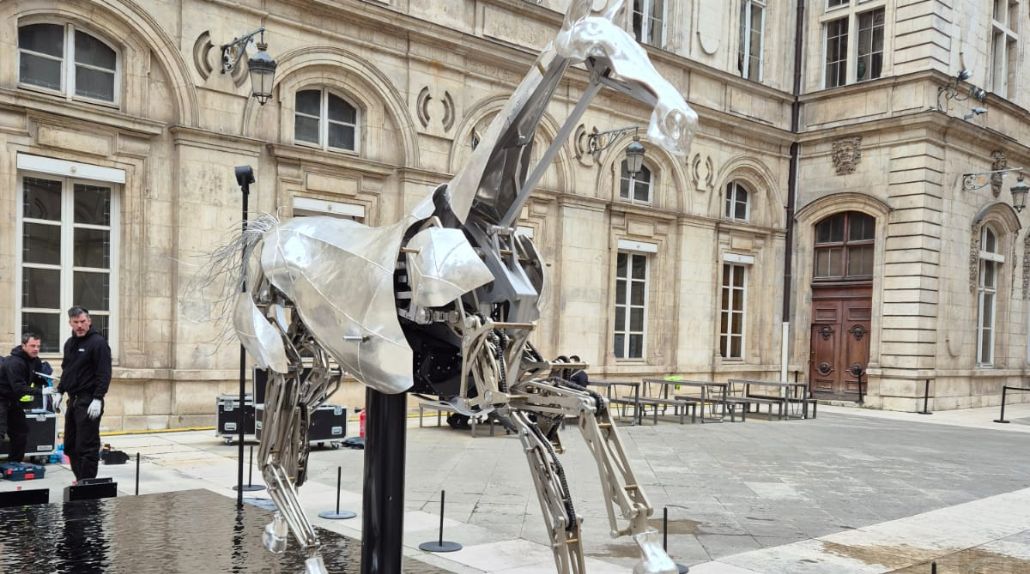 Tournée de Zeus, le cheval des JO, son arrivée à Lyon par Cargomatic